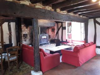 Les Hautes Charmante Ferme solognote - Ligny-le-Ribault - 3