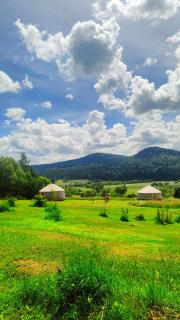 Mononoke -Jurty nad Sanem - Lutowiska - 3