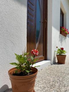 Hill House Emir - Bihać - 6