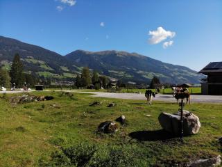 Hotel Gasthof Siggen - Neukirchen am Grossvenediger - 8