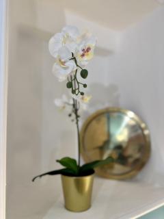 Aquarium Exclusive Loft - Private Parking - Genova - 2