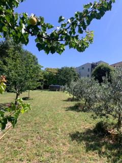 Maison en Provence La Cascatelle 6-8 pers - Carcès - 5