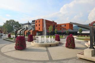 Zepter Hotel Drina Bajina Basta, member of Zepter Hotels - Bajina Bašta - 8