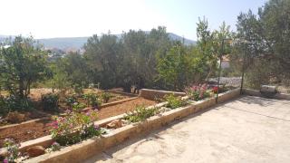 Apartments Anica - 2