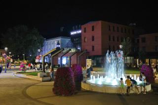 Zepter Hotel Drina Bajina Basta, member of Zepter Hotels - Bajina Bašta - 1
