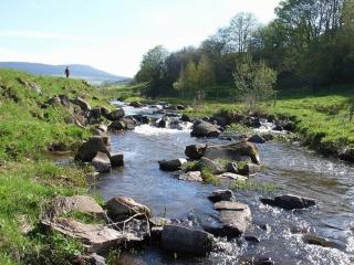 Gîte Nature au Chambon-sur-Lignon: Terrasse, Wifi, Proche Activités et Commerces - FR-1-582-137 - 1