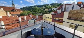 At the Blue Lion & Parking Assistance - Praga - 9