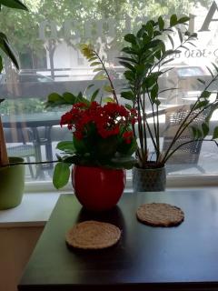 Céhmesterek apartman - Eger - 5
