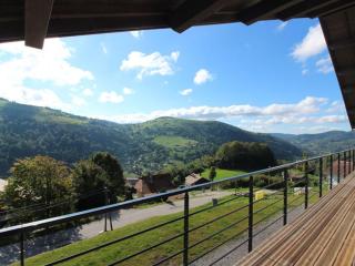 Chalet à La Bresse avec cheminée et garage - FR-1-589-385 - 5