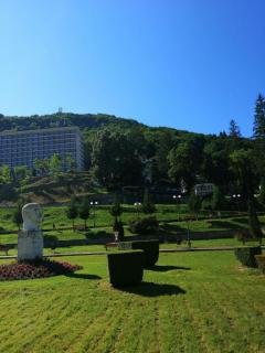 Natura Slanic Moldova - Slănic-Moldova - 9