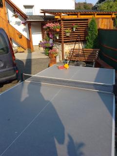 apartman.lara - Děčín - 7