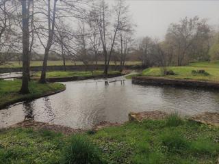 Gîte indépendant au bord de la rivière, cadre historique, pêche, animaux bienvenus, parking privé - FR-1-586-22 - Mareuil-sur-Arnon - 9