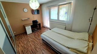Bosnian Villa - Hadžići - 2