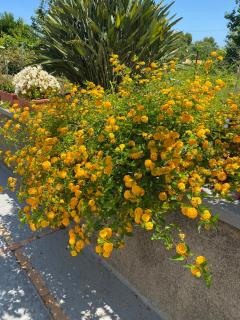 CasaAle - Anacapri - 7