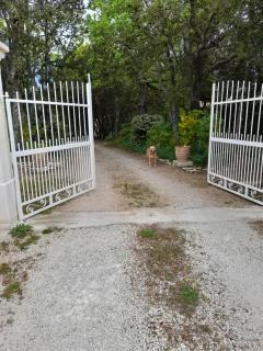 Villa le Bosquet en Luberon. - Ménerbes - 9