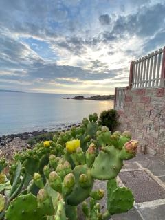 Juniper Bay - Portoscuso - 8