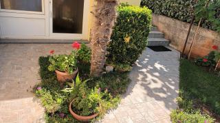 Apartments Monte Magno - 1