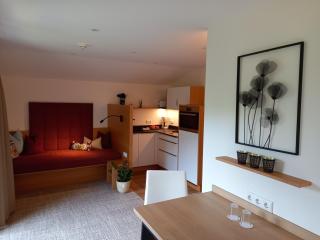 Hotel Garni Erler - Mayrhofen - 5