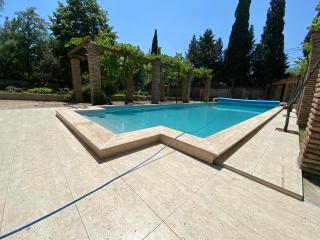 RARE house with garden - Tbilisi - 9