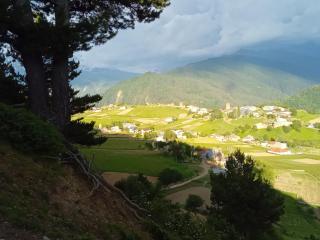 Maia's Guesthouse - 4