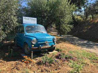 Appartamento Olivo - Collecorvino - 8