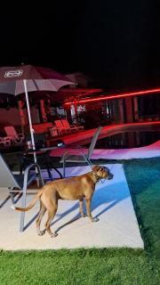 Hostal Villa Mayte Coronado - Las Lajas - 8