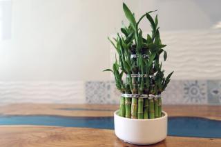 Montebello Luxury Apartment - 5