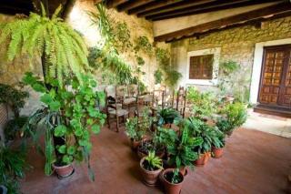 Hospedaje Octavio - 7