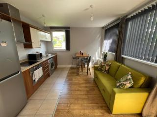 London Modern Flat near transports - Londra - 8