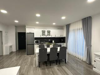 M&S Apartment 1 - Baile Felix - 4