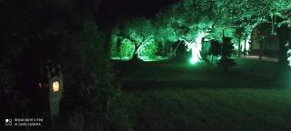 Bills house - Nea Makri - 1
