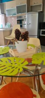STUDIO APARTMAN KARLER - Karlovac - 4