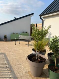 A 10 mn de Disney Land Paris Appartement neuf - 9