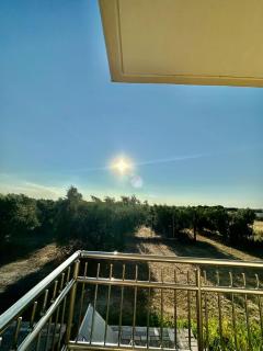 Villa Elia in Nea Kallikrateia - 5