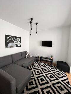Stilingi šaulio skulptūros apartamentai - Druskininkai - 0