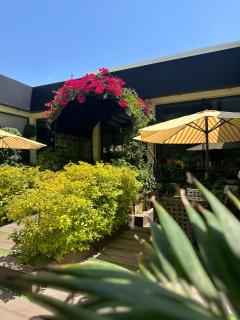 THE PALMS Luxury Boutique Hotel - Dakar - 7