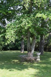 La Rochelière - Bresse-sur-Grosne - 5