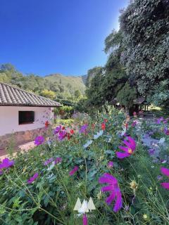 Eden Park Cordoba - 2