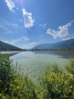 FRESH Apartments - Ossiach - 7