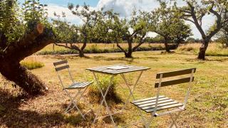 Apple Orchard Shepherd Huts - 1