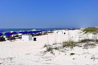 Plantation East 2305 - Gulf Highlands - 7