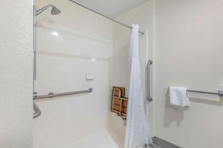 Comfort Inn & Suites Mt Rushmore - 2