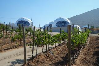 Cúpulas Del Valle by Villa De La Rosa - Ensenada - 0
