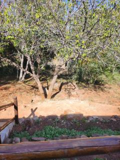 Mzila Forest Creek - Maanhaarrand - 2