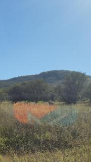 Mzila Forest Creek - Maanhaarrand - 8