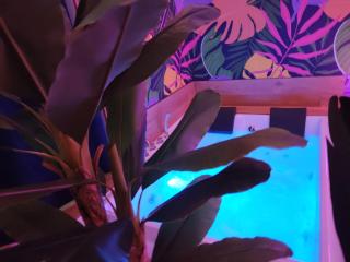 Suite Maison Tropical - Luxury Apartment in Bari - Bari - 4