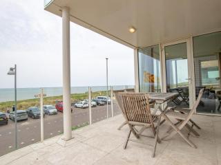 Krab aan Zee - Egmond aan Zee - 8