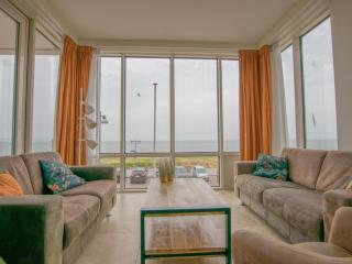 Krab aan Zee - Egmond aan Zee - 6