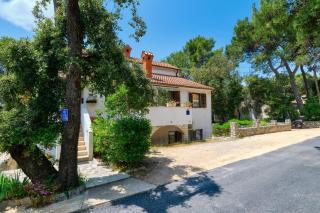 Apartment Artatore 2509a - Cunski - 1