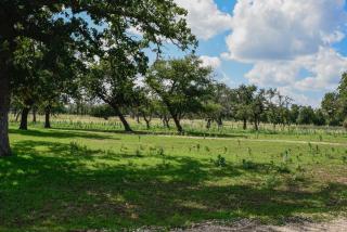 Best little Fredericksburg Bed and Breakfast Unit2 - Fredericksburg - 7